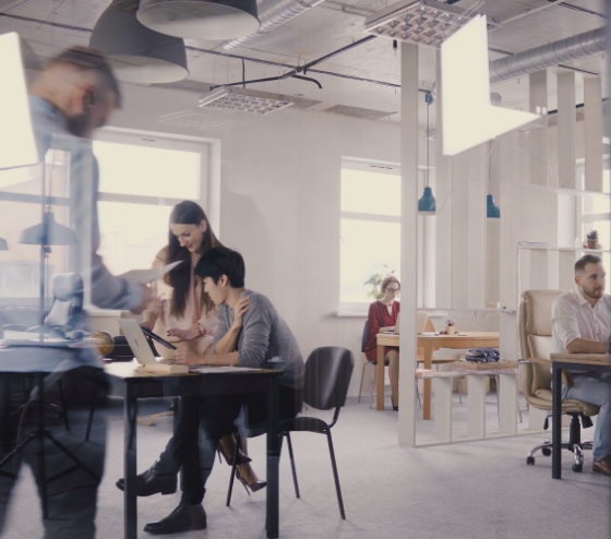 Happy woman on computer in an office